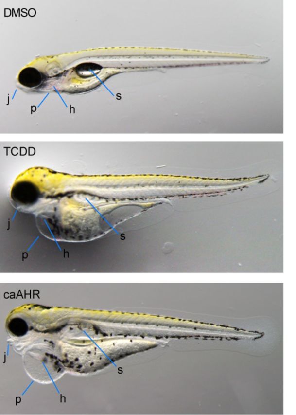 FIG. 7.