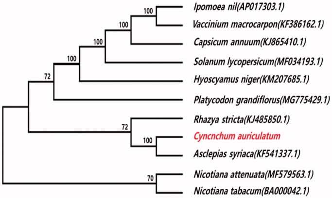 Figure 1.