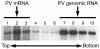 FIG. 5.