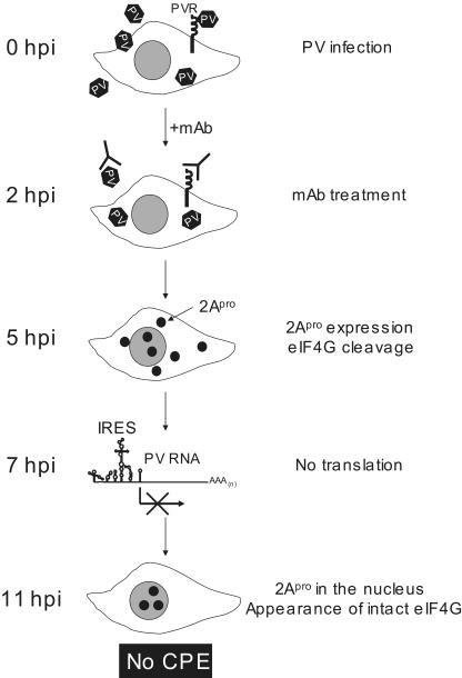 FIG. 10.