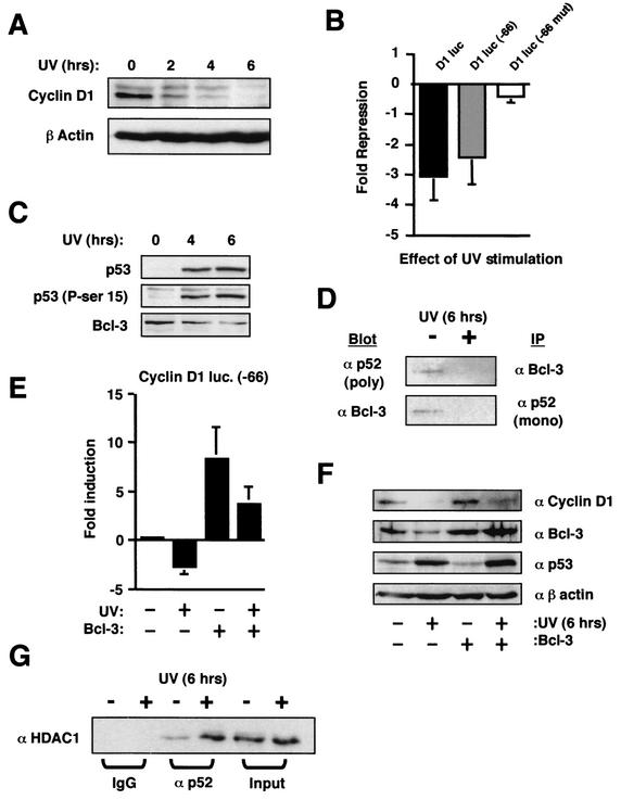 FIG.9.