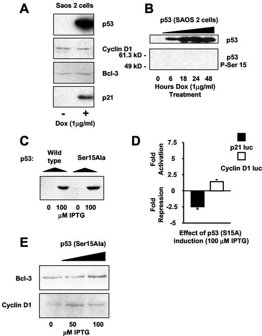 FIG. 8.