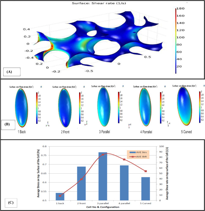 Fig. 4