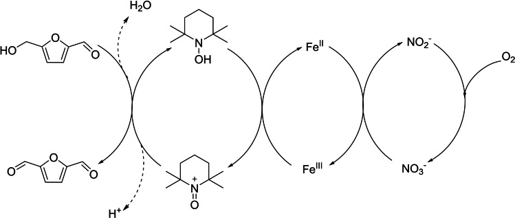 Scheme 7