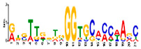 graphic file with name genes-13-01732-i011.jpg