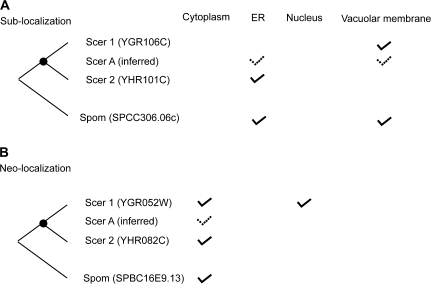 FIG. 2.—