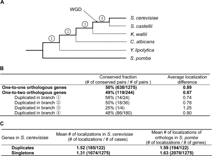 FIG. 1.—