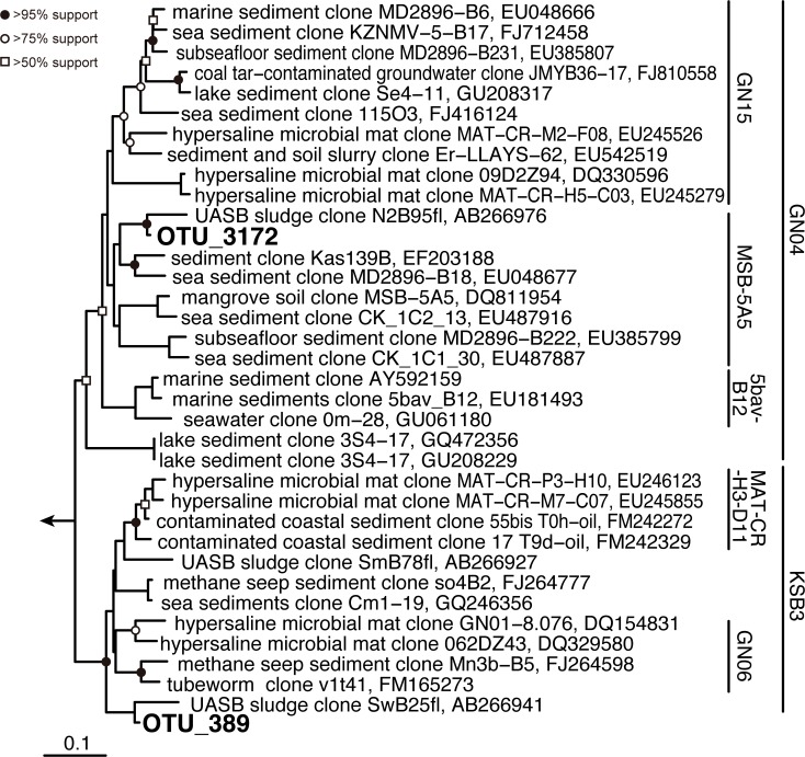 Fig 5