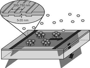 Fig. 6