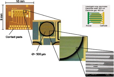 Fig. 7