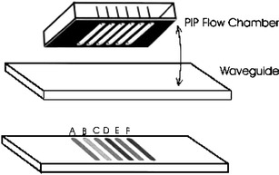 Fig. 5