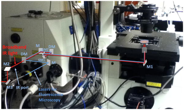 Fig. 2