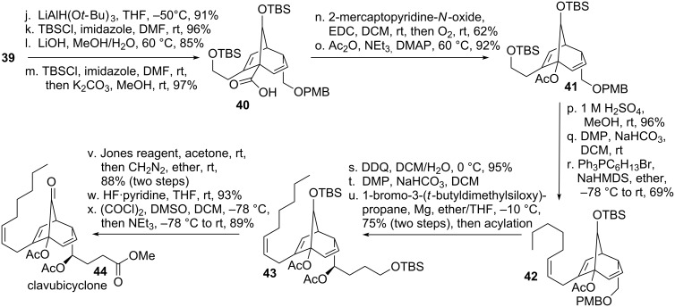 Scheme 8