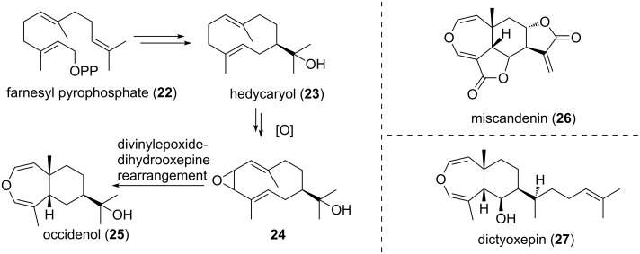 Scheme 5