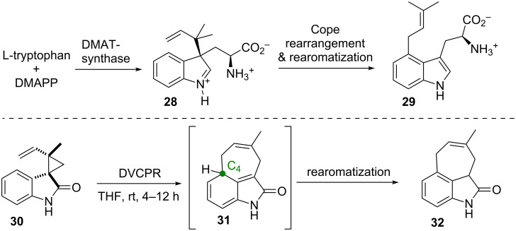 Scheme 6