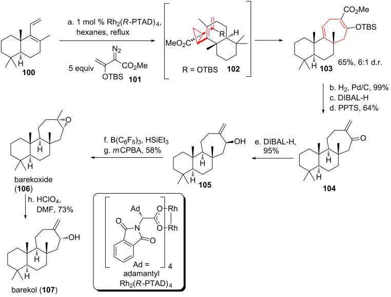 Scheme 13