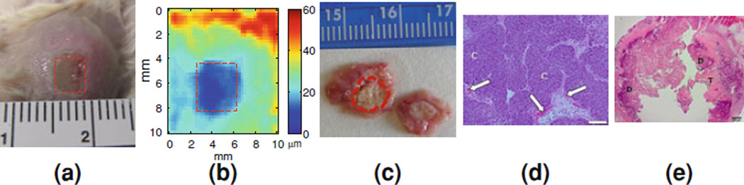 Figure 10