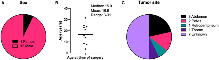 Figure 1