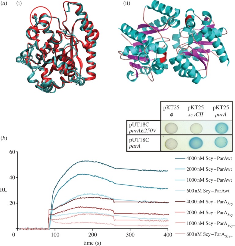 Figure 4.