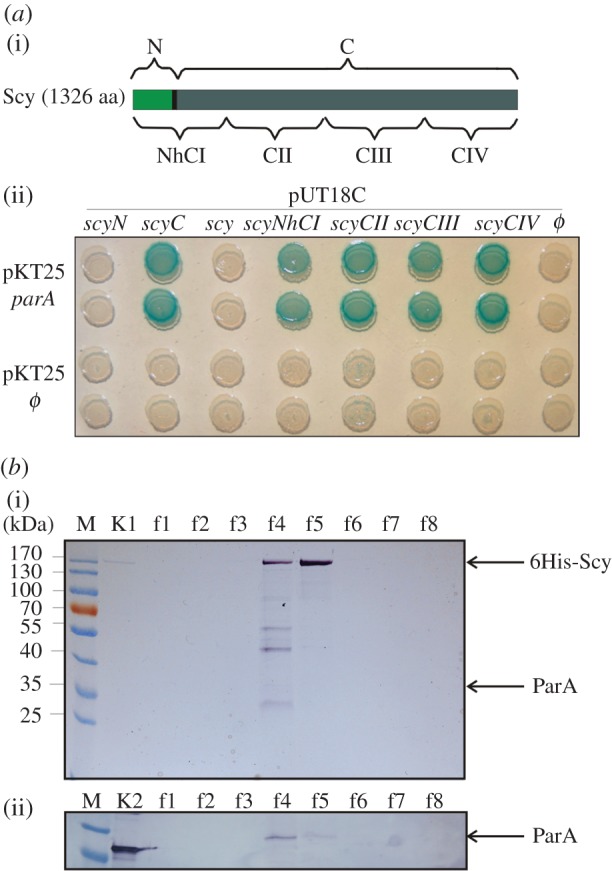 Figure 1.