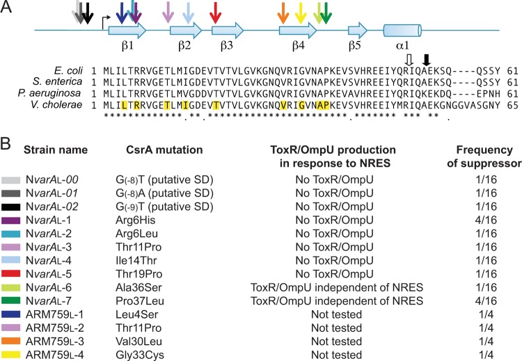 FIG 4 