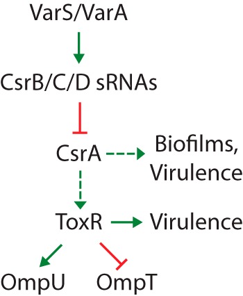 FIG 1 