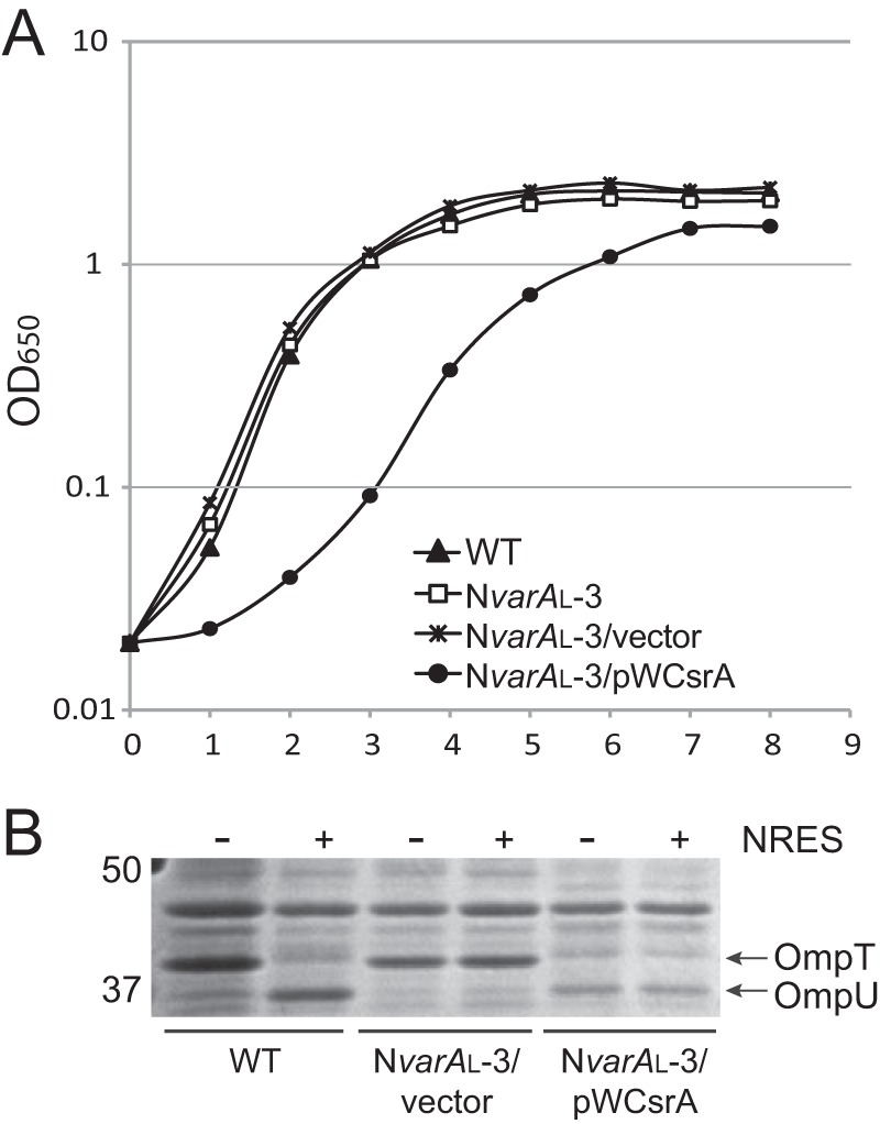 FIG 6 