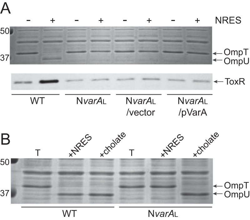 FIG 3 