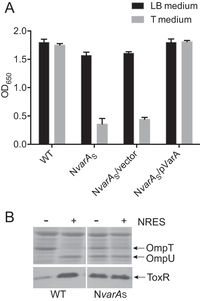 FIG 2 