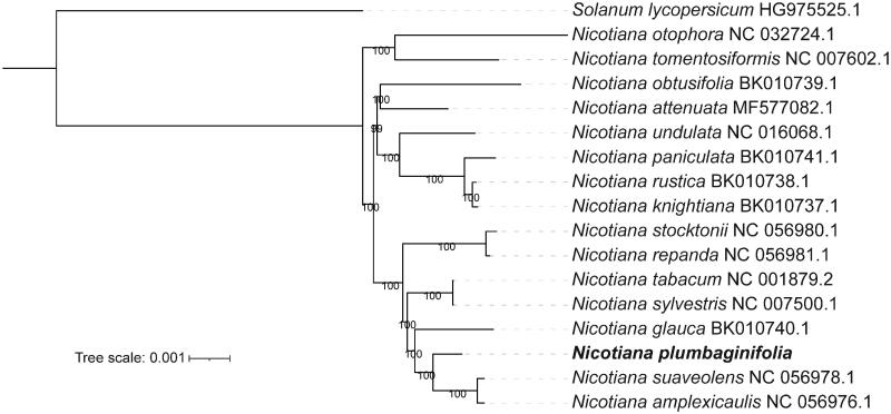 Figure 1.