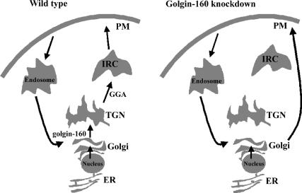 Figure 10.