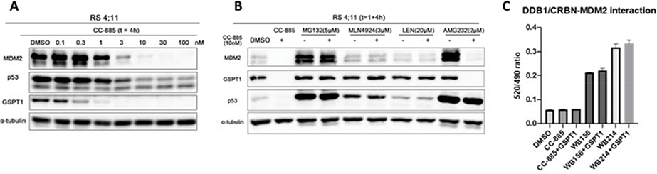 Figure 5.