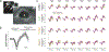 Extended Data Fig. 3 |