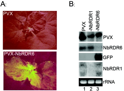 FIG. 1.