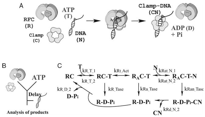 Fig. 9