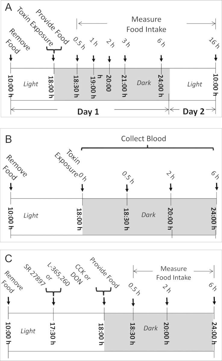 FIG. 2.