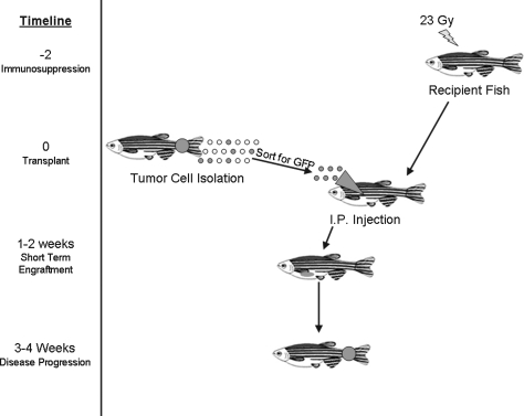 FIG. 1.