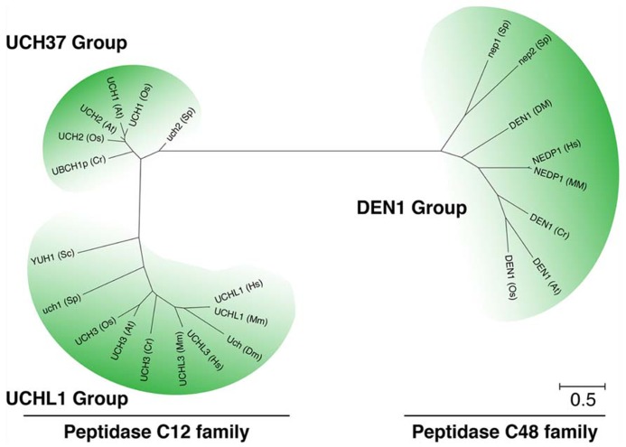 FIGURE 3