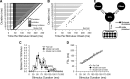 Figure 10.