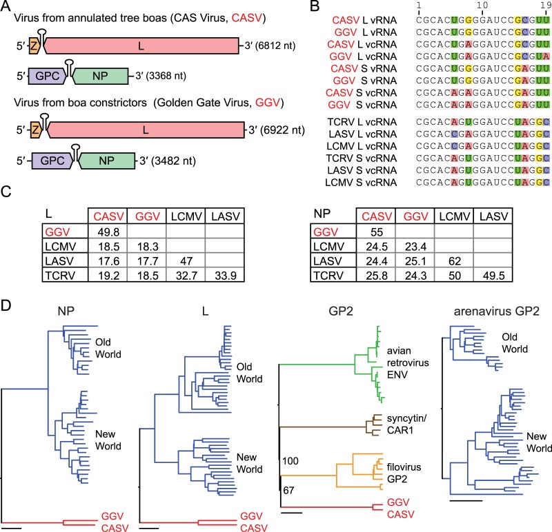 FIG 3 