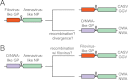 FIG 7