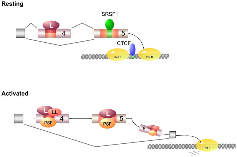 Fig. 4