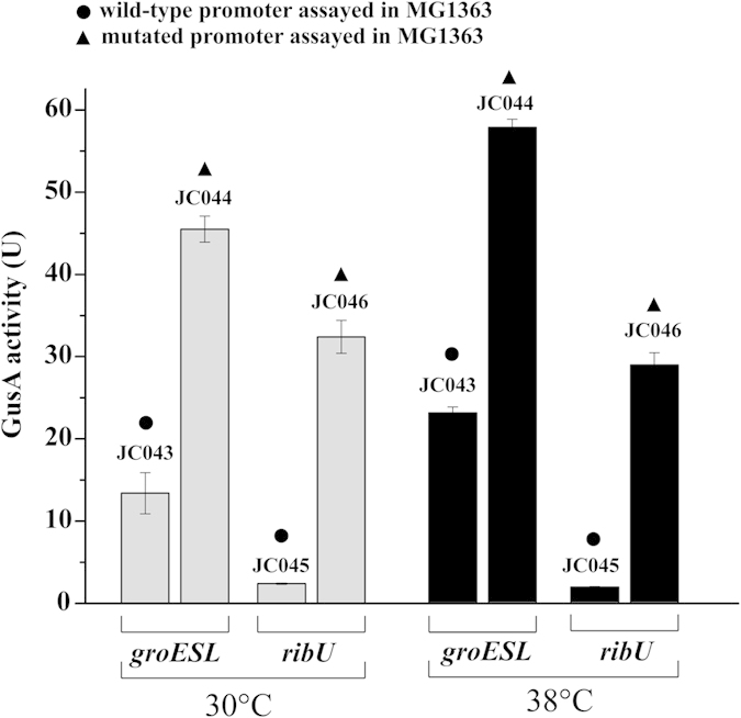 Figure 5