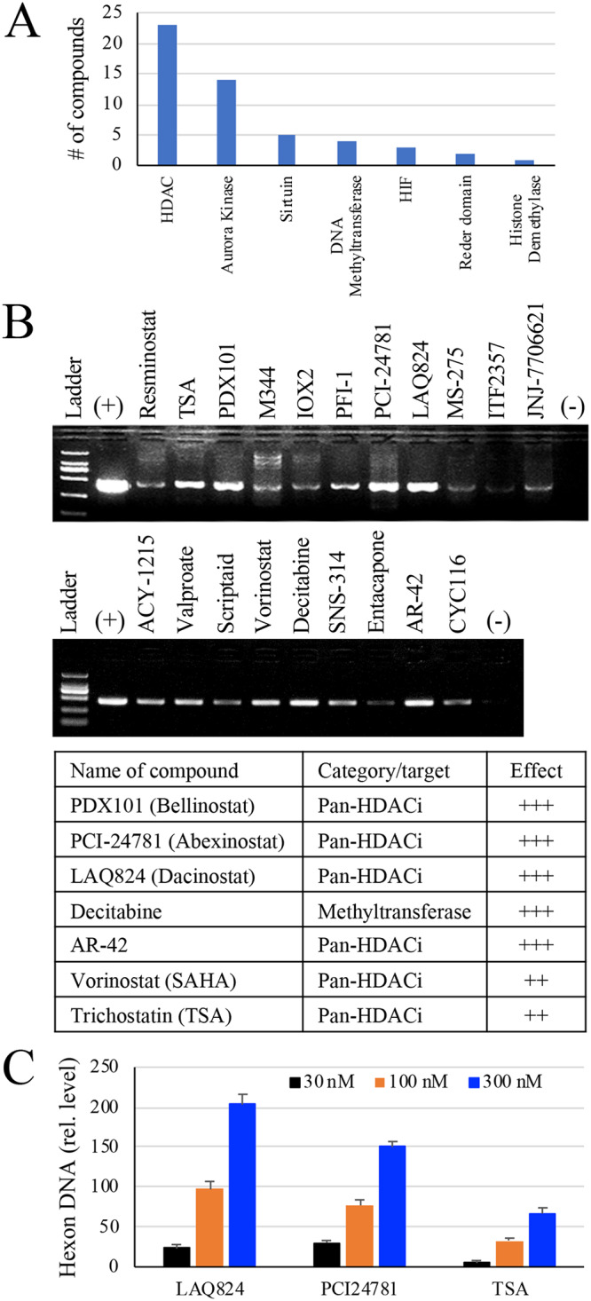 FIG 1