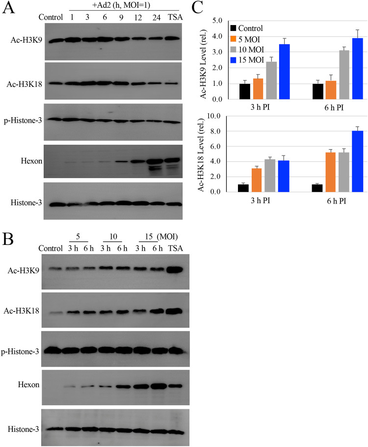 FIG 3