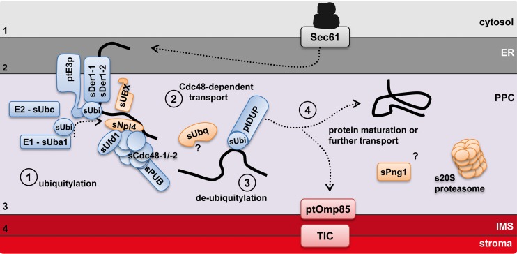 Fig 4