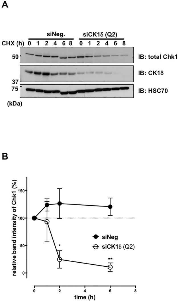 Fig 8