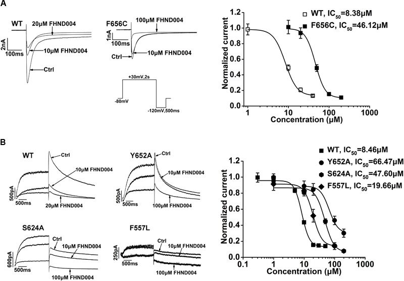 FIGURE 6