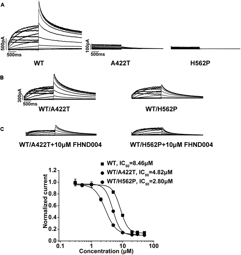 FIGURE 5