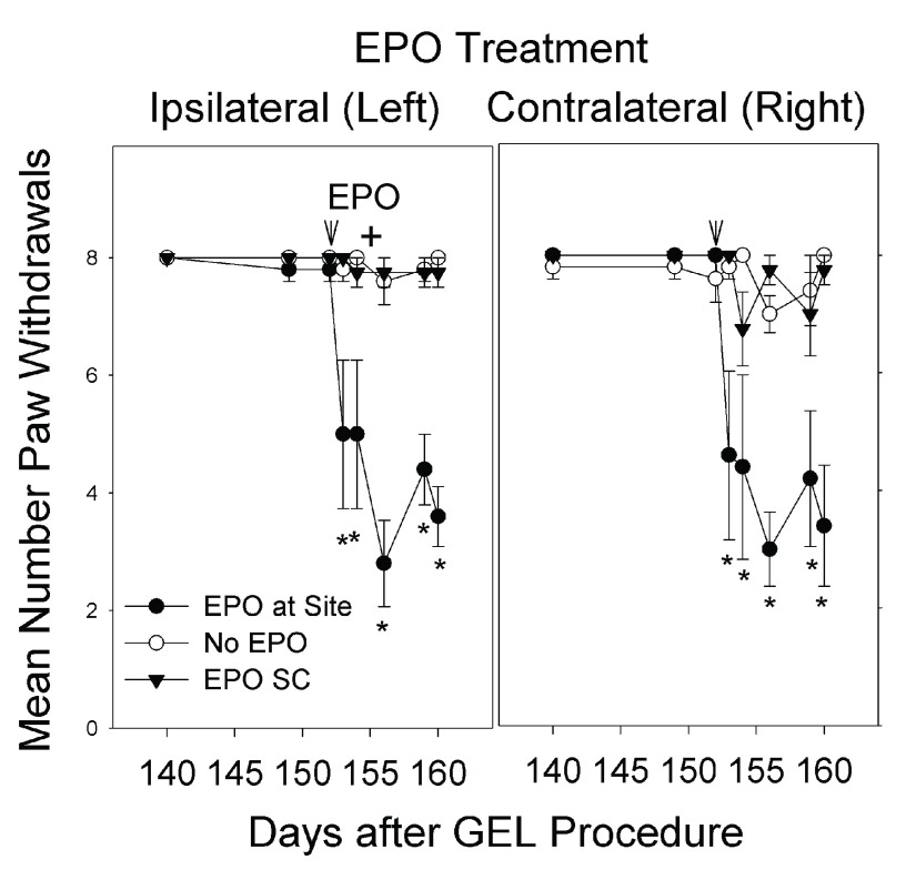 Figure 11. 